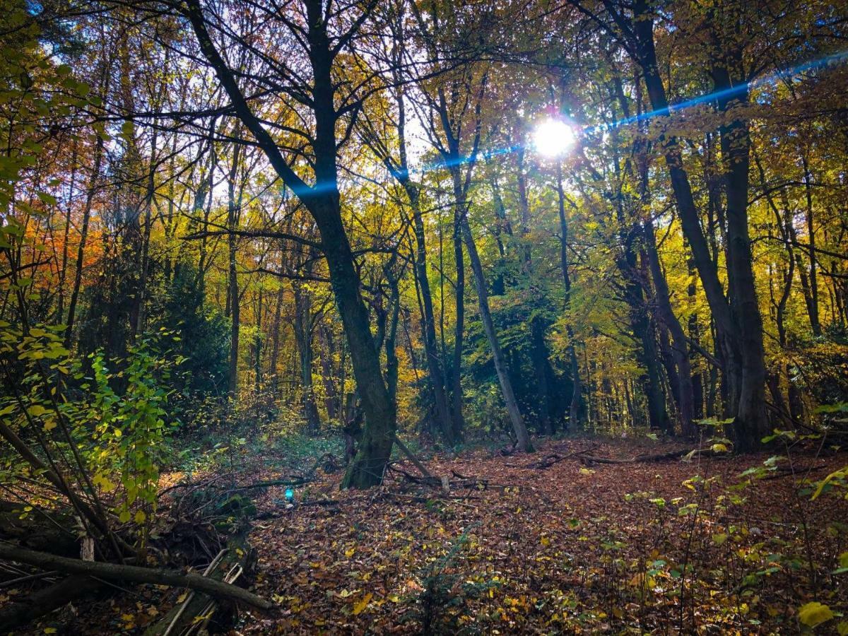 Hexenhaeuschen Dreieichenhain Esterno foto